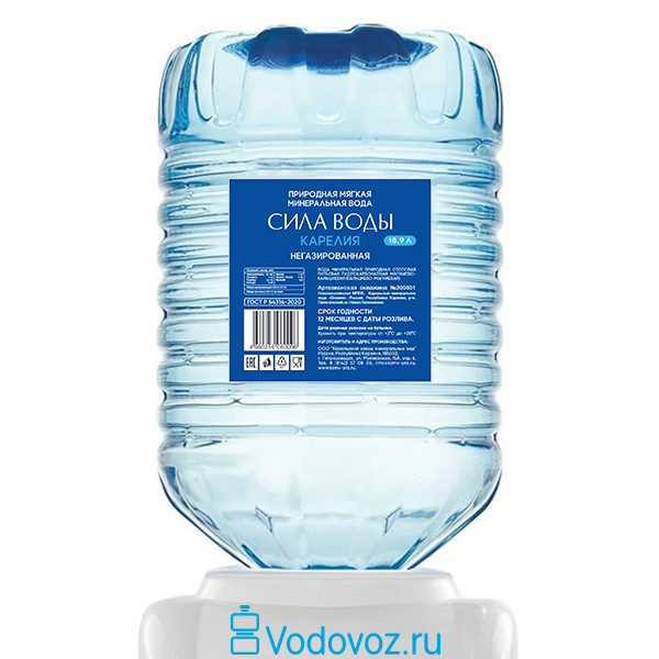 Вода Сила воды Карелия 18,9 литров в одноразовой таре - фото 1