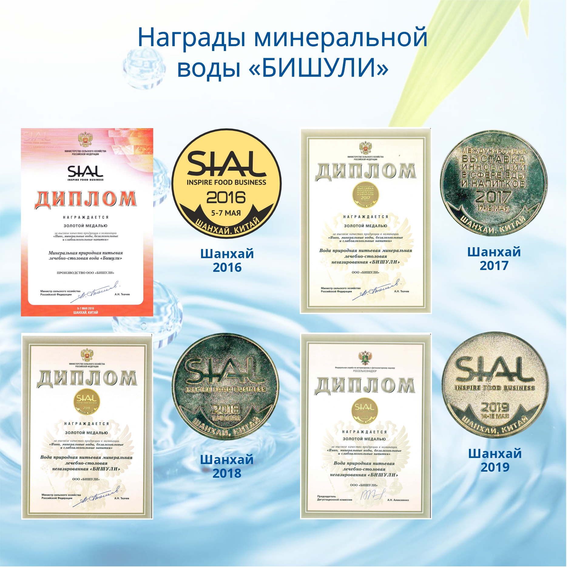 Вода минеральная лечебно-столовая Бишули 1.5 литра, без газа, пэт, 6 шт. в уп.