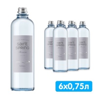 Вода Святой Источник Резерв / Saint Spring Reserve 0.75 литра, без газа, стекло, 6 шт. в уп.