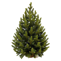 Ель в мешочке Treedeluxe зеленая литая 60 см