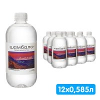 Вода Шамбала 0.585 литра, без газа, пэт, 12 шт. в уп.