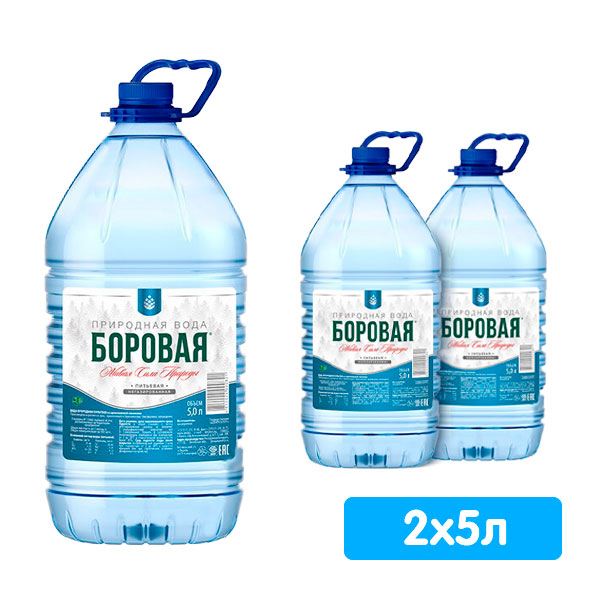 Вода Боровая природная 5 литров, 2 шт. в уп.