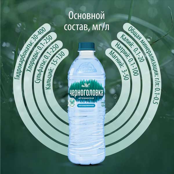 Вода Черноголовка детская 0.5 литра, без газа, пэт, 12 шт. в уп.