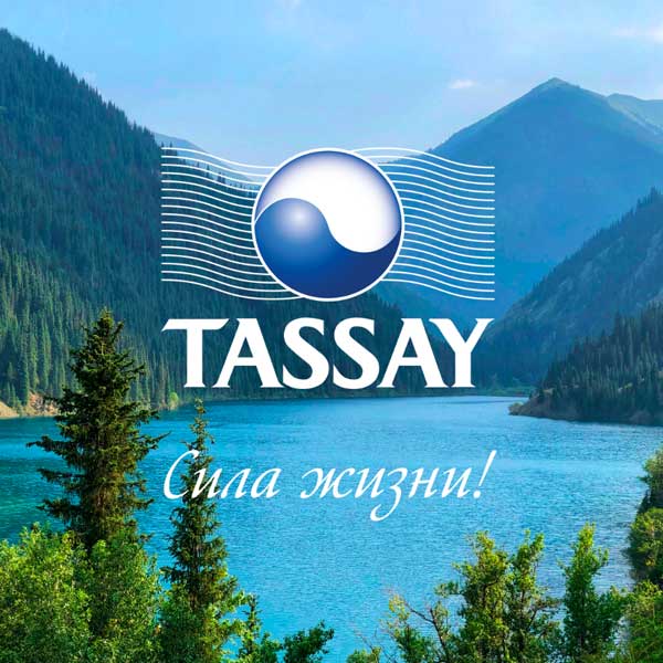 Напиток Tassay с лимоном 0.5 литра, газ, пэт, 12 шт. в уп.