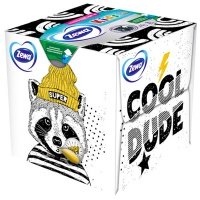 Салфетки Zewa / Зева Kids Cotton Touch бумажные с хлопком 3D коробка 3-х сл 60шт (1шт)