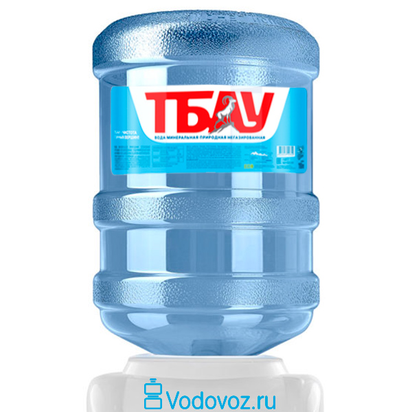 Вода Тбау 19 литров - фото 1