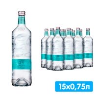 Вода Sant Aniol 0.75 литра, без газа, стекло, 15 шт. в уп.