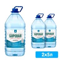 Вода Боровая природная 5 литров, 2 шт. в уп.