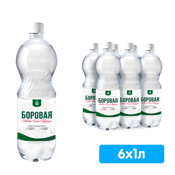 Вода Боровая лечебно-столовая 1 литр, без газа, пэт, 6 шт. в уп.