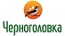 Черноголовка Черноголовка
